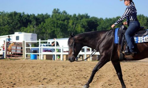 INDUS EQUESTRIAN TEAM-BEGINNERS (2 Classes per week)
